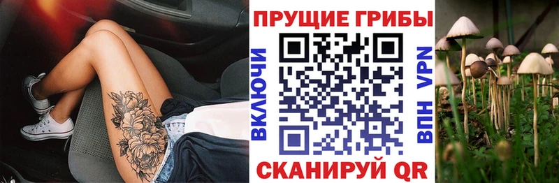 купить сайты Тара Галлюциногенные грибы Cubensis